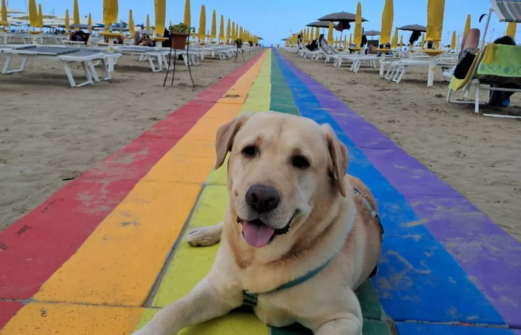 Verniciatura Passerella Rainbow 2025 “La Community 27”