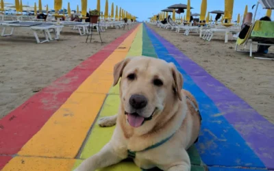 Verniciatura Passerella Rainbow 2025 “La Community 27”