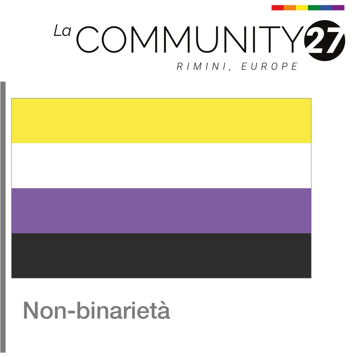 Non-binarietà - bandiera LGBTQ in uso - La Communty 27